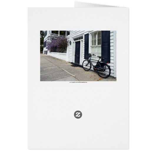 Wisteria, Historic Charleston South Carolina (Back)