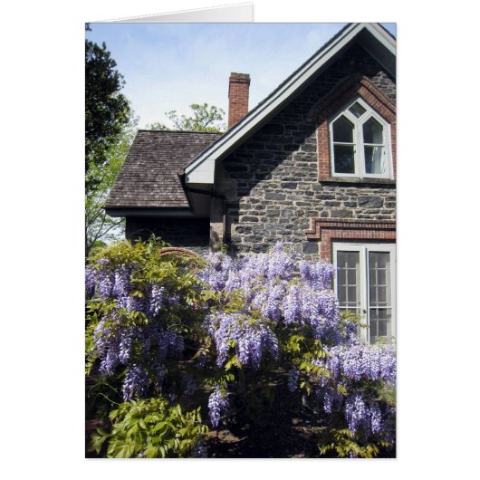 Wisteria House Cards (Front)