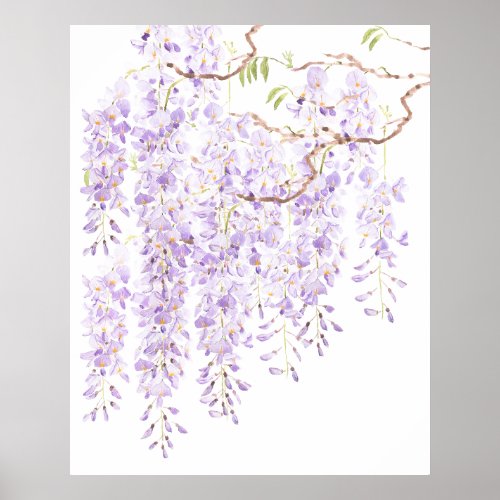 wisteria in bloom 2023 poster