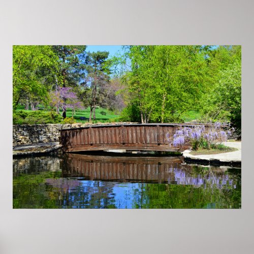 Wisteria In Bloom At Loose Park Bridge