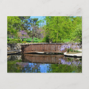 Wisteria in Bloom at Loose Park in Kansas City Postcard