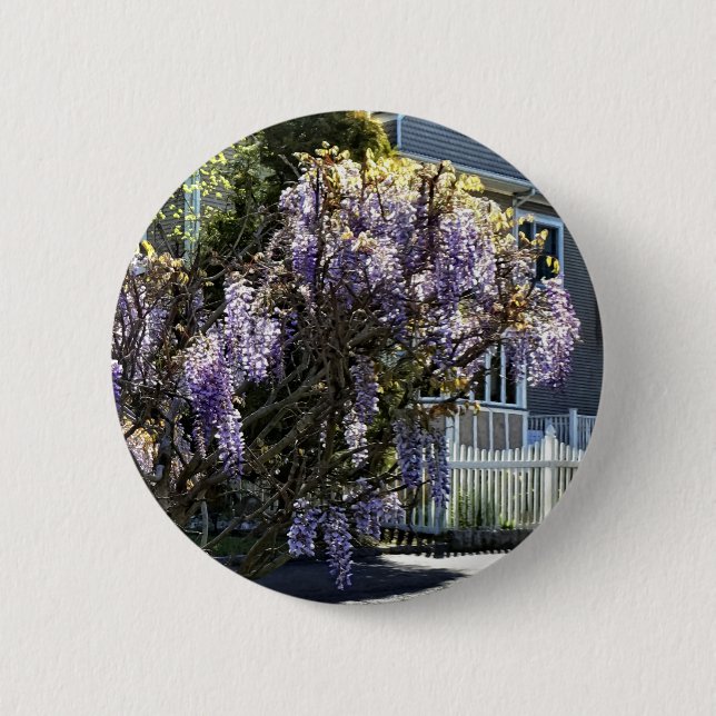 Wisteria in Bloom Button (Front)