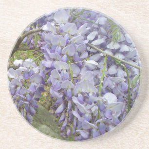 Wisteria in the Woods Drink Coaster