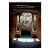 Wisteria in Venice Cards (Front)