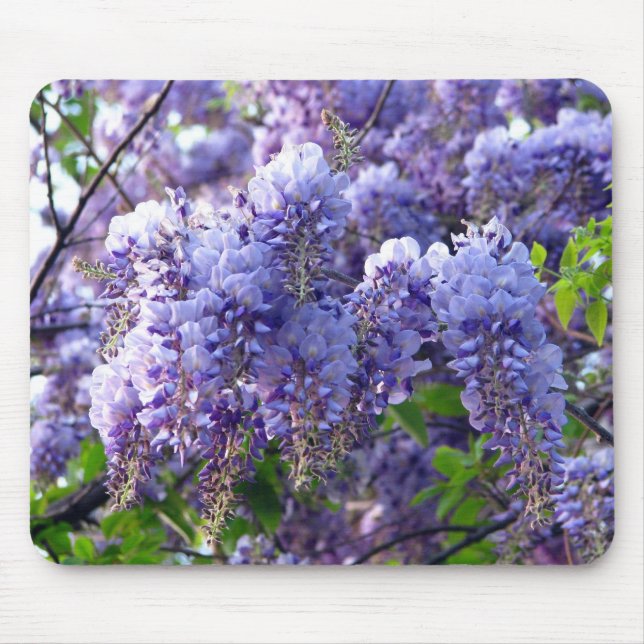Wisteria Mosepad Mouse Pad (Front)
