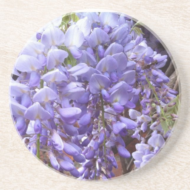 Wisteria Mother’s Day Coaster (Front)