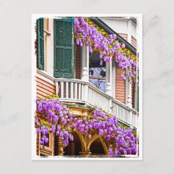 Wisteria On A Vintage Southern  Home In Savannah Postcard by NancyTrippPhotoGifts at Zazzle