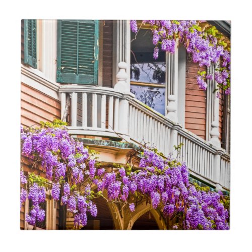 Wisteria on a Vintage Southern  Home in Savannah Tile