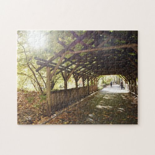 Wisteria Pergola New York City Central Park NYC Jigsaw Puzzle