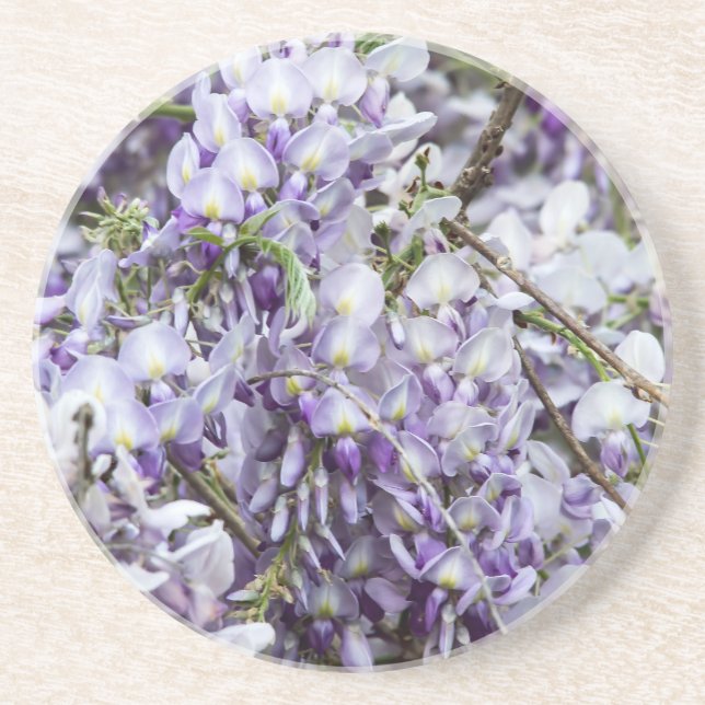 Wisteria Sandstone Coaster (Front)