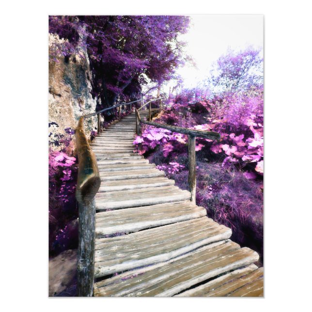 wisteria stairs photo print (Front)
