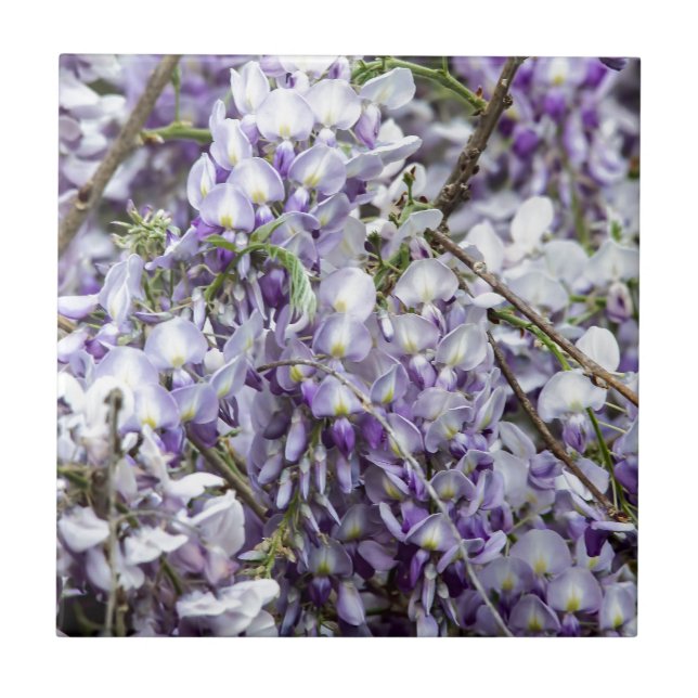 Wisteria Tile (Front)