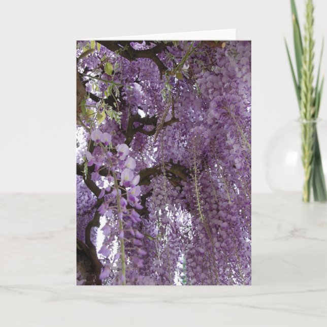 Wisteria Too Card (Front)