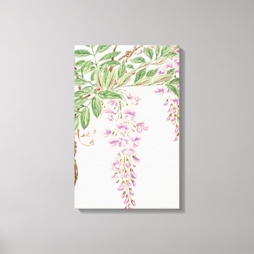 Wisteria Vine with Leaves Canvas Print