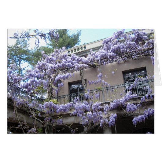 Wisteria Window Cards (Front Horizontal)