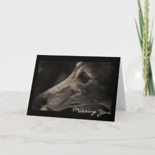 Wistful Greyhound Love Customizable Card