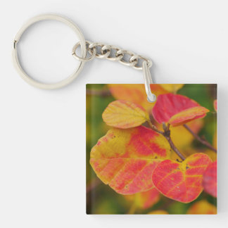 Witch Alder Key Ring