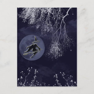 Witch and Moon at Night Postcard
