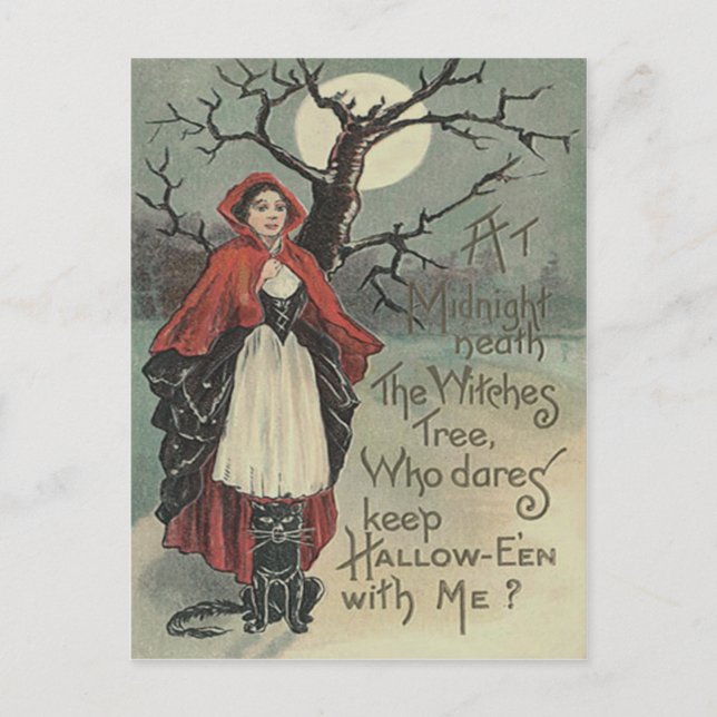 Witch Black Cat Full Moon Postcard (Front)