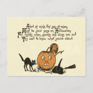 Witch Black Cat Jack O Lantern Poem Postcard