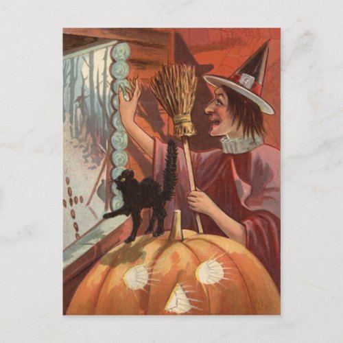 Witch Black Cat Jack O Lantern Pumpkin Postcard