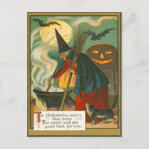 Witch Broom Caldron Jack O Lantern Bat Cat Postcard