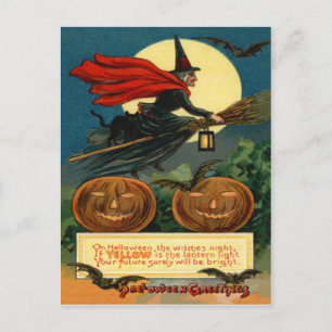 Witch Broom Flying Jack O Lantern Black Cat Bat Postcard