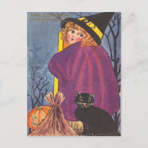 Witch Broom Jack O Lantern Black Cat Trees Postcard