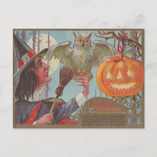 Witch Broom Jack O Lantern Owl Moon Postcard