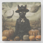 Witch Cat with Pumpkins  Stone Coaster