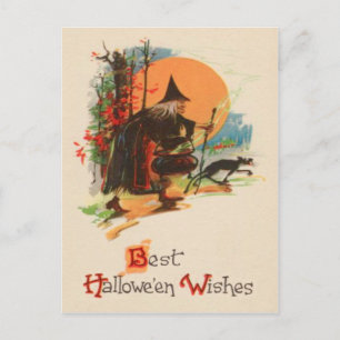 Witch Cauldron Black Cat Full Moon Postcard