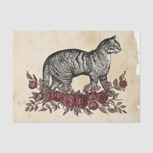 Witch Ephemera  Design Series #4 Tissue Paper (Front)