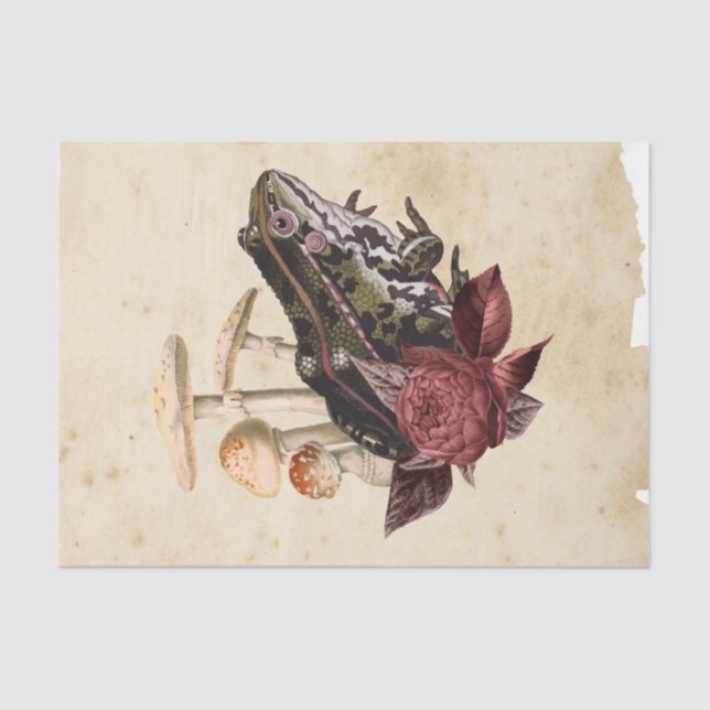 Witch Ephemera  Design Series #5 Tissue Paper (Front)