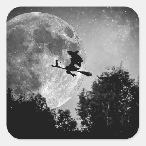 Witch flying on the broom with her cat square sticker