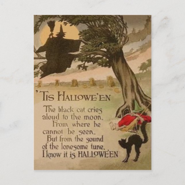 Witch Full Moon Pumpkin Black Cat Postcard (Front)