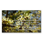 Witch Hazel Flowers Business Card Magnet
