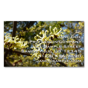 Witch Hazel Flowers Business Card Magnet