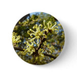 Witch Hazel Flowers Button