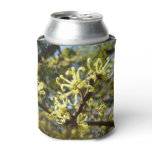 Witch Hazel Flowers Can Cooler