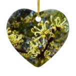 Witch Hazel Flowers Ceramic Ornament