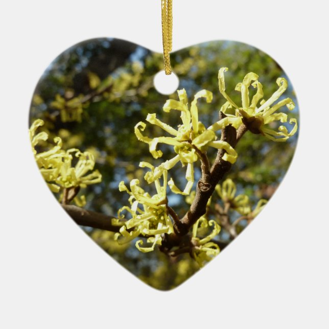 Witch Hazel Flowers Ceramic Ornament (Front)