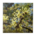 Witch Hazel Flowers Ceramic Tile