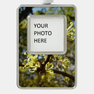 Witch Hazel Flowers Christmas Ornament