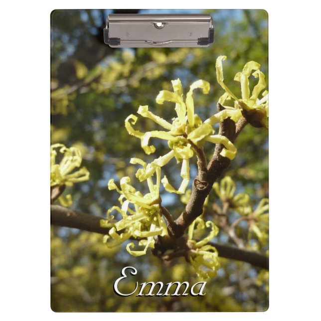 Witch Hazel Flowers Clipboard (Front)