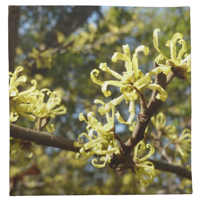 Witch Hazel Flowers Cloth Napkin (Front)