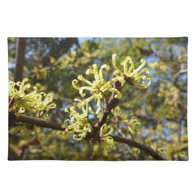 Witch Hazel Flowers Cloth Placemat (Front)
