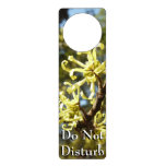 Witch Hazel Flowers Door Hanger