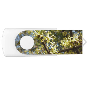 Witch Hazel Flowers Flash Drive