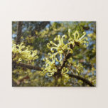 Witch Hazel Flowers Jigsaw Puzzle