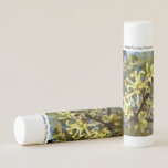 Witch Hazel Flowers Lip Balm